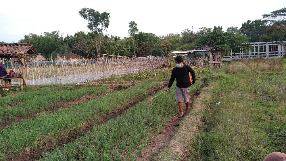 Galih petani milenial Klaten 