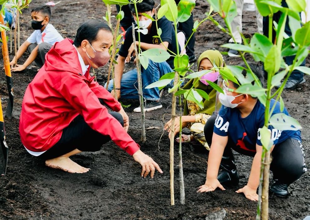 PRESIDEN TANAM MANGROVE.jpeg