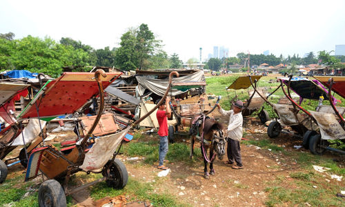 Kampung Delman .jpg