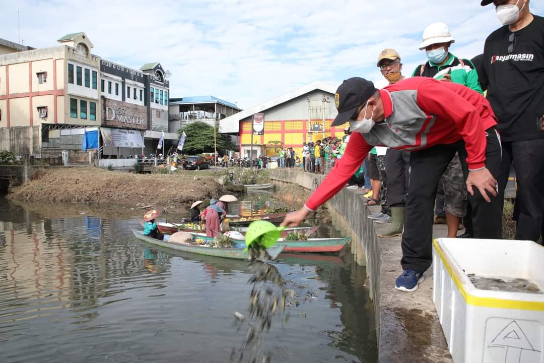 Pemko Banjarmasin melepas jutaan bibit ikan Papuyu dan Ikan Lele di sejumlah sungai Kota Banjarmasin.