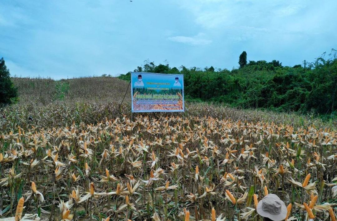 Kabupaten Kutai Kartanegara menjadi salah satu sentra pertanian di wilayah Ibu Kota Nusantara.
