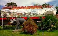 Kebun Binatang Surabaya yang dibuka kembali Minggu