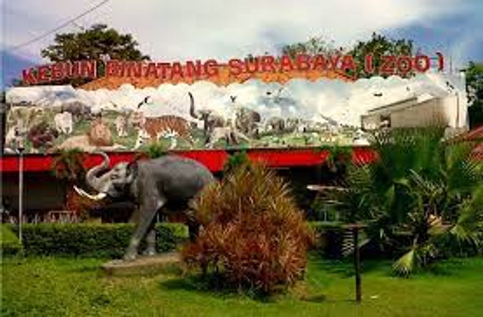 Kebun Binatang Surabaya