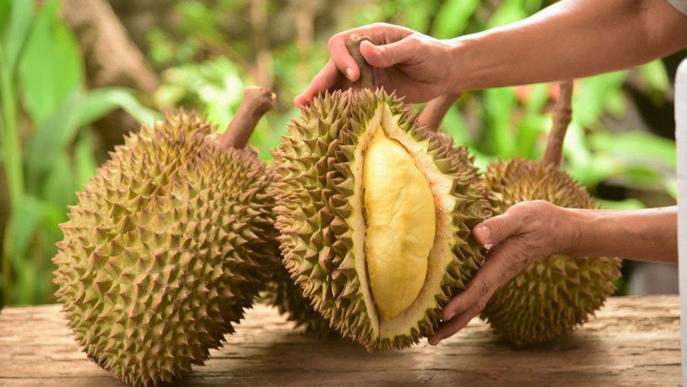 durian