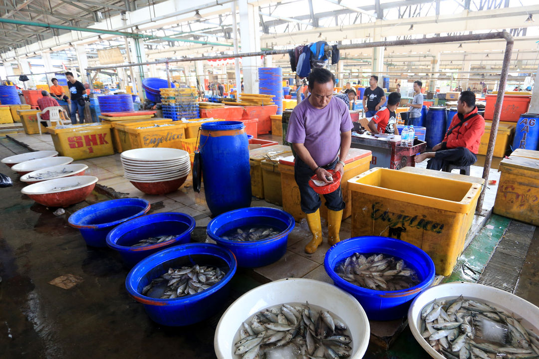 Pedagang beraktivitas di kios hasil tangkapan laut nelayan Pasar Ikan Modern Muara Baru, Jakarta Utara, Selasa, 12 Oktober 2021. Foto: Ismail Pohan/TrenAsia