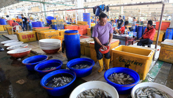 JULO dan eFishery Salurkan Pembiayaan ke Ribuan Pembudidaya Ikan