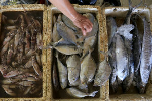 Sektor Perikanan.jpg