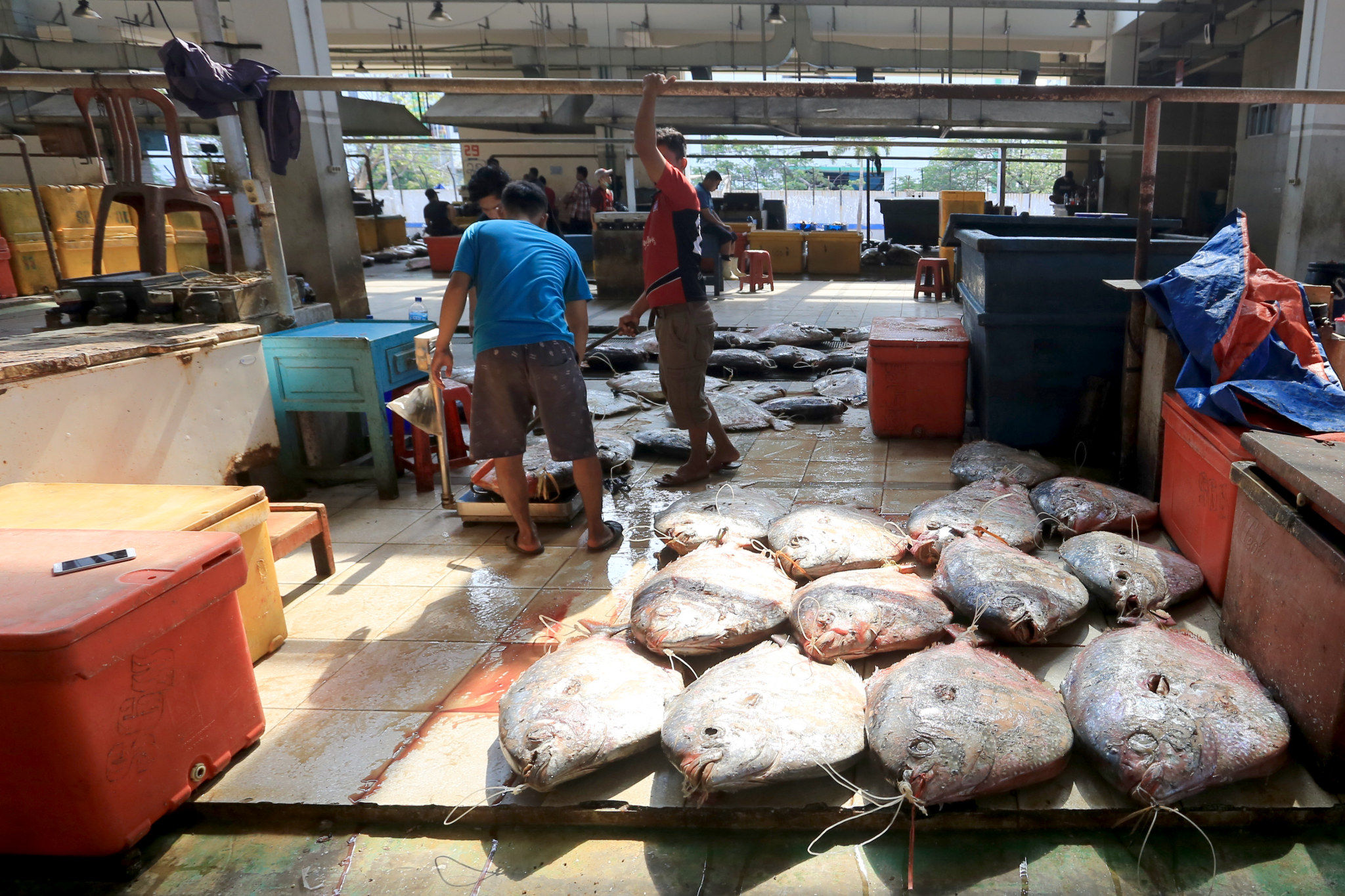 Nelayan beraktivitas di kios hasil tangkapan laut Pasar Ikan Modern Muara Baru, Jakarta Utara, Selasa, 12 Oktober 2021. Foto: Ismail Pohan/TrenAsia