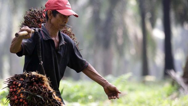 Jokowi Bakal Setop Ekspor Bauksit dan CPO