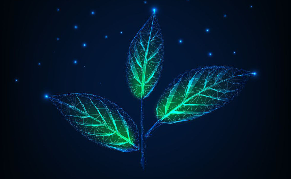 daun lampu.jpg