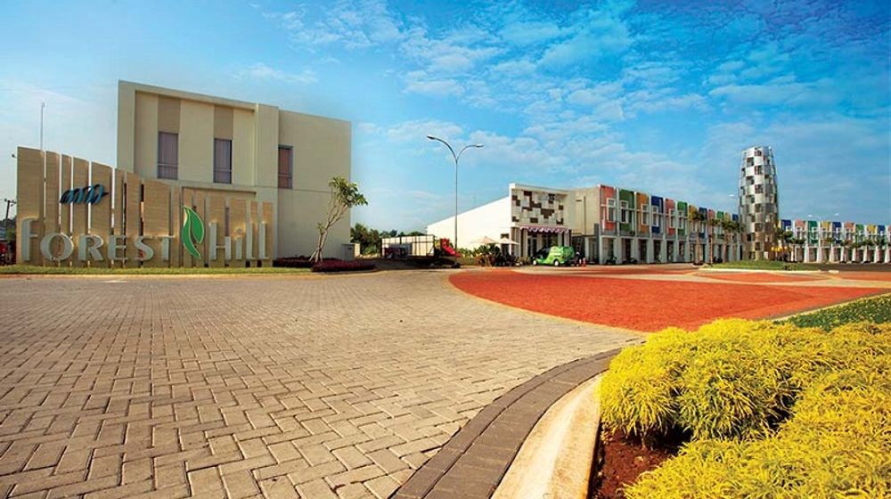 Forest Hill Hanson.jpg