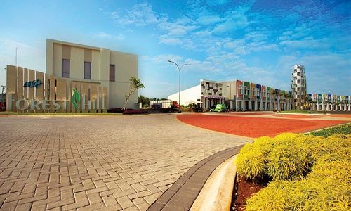 Forest Hill Hanson.jpg