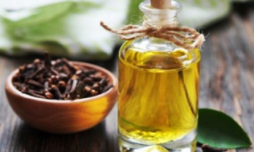 Indonesia ternyata memiliki potensi industri minyak atsiri yang besar / Agrowindo.com
