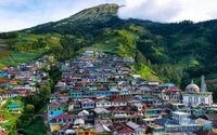 Dusun Butuh, Desa Kaliangkrik, Kabupaten Magelang, Jawa Tengah, yang berada di kaki Gunung Sumbing, kini viral dengan sebutan wisata Nepal Van Java / Instagram @id_pendaki