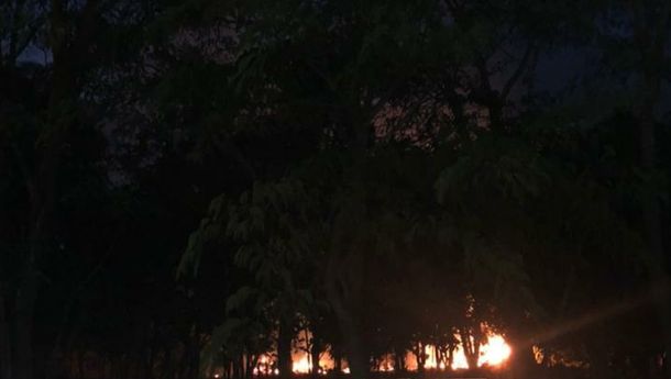 Hutan di Depan Kantor Bupati Mabar Sengaja Dibakar, Berikut Penjelasannya