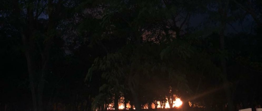 Hutan di Depan Kantor Bupati Mabar Sengaja Dibakar, Berikut Penjelasannya