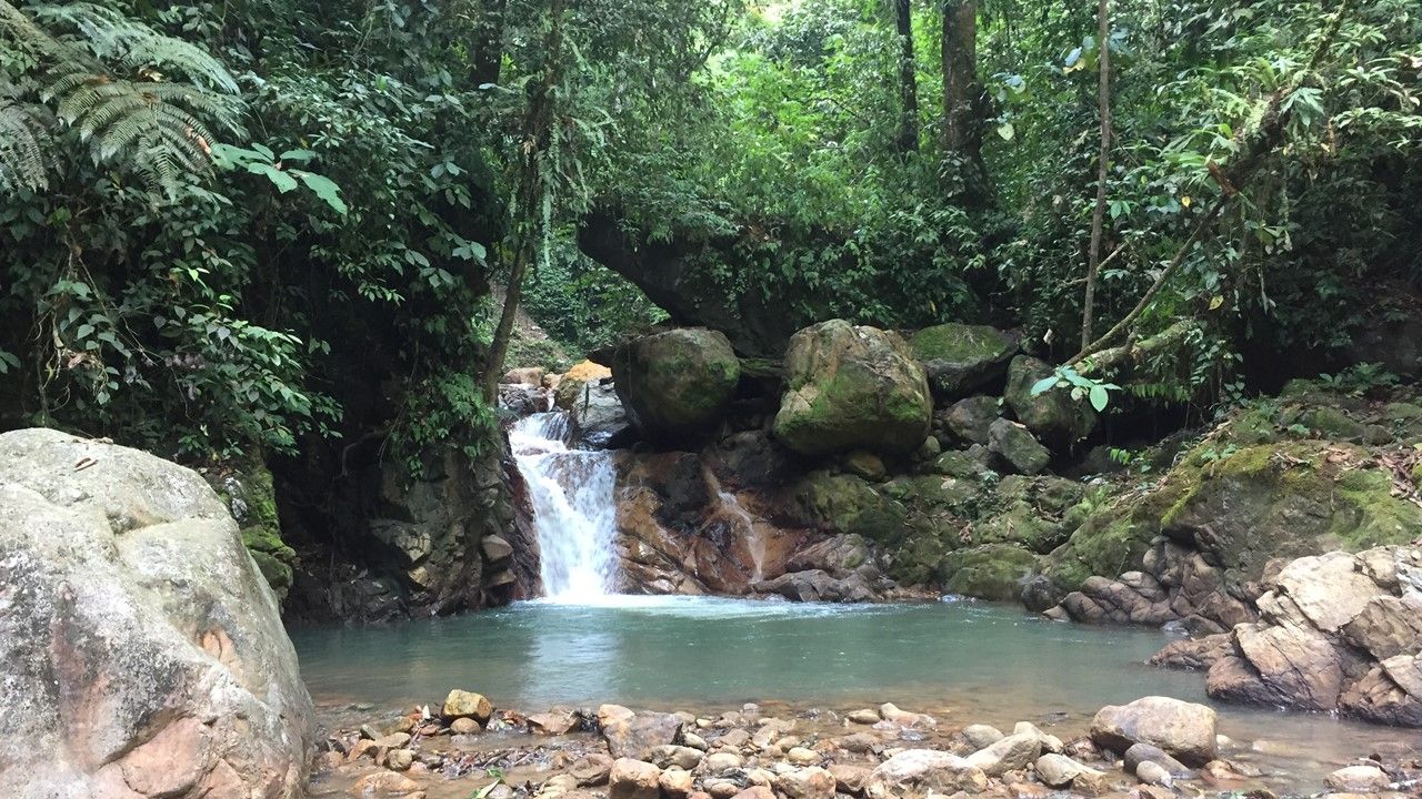 Salah satu ekowisata air terjun di Tangkahan.