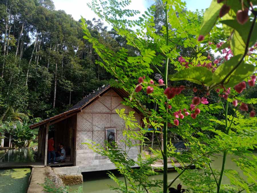 Suhita Bee Farm, turut menjaga ekosistem lebah dengan tanpa menggunakan pestisida. Lingkungan sekitar semakin asri. 