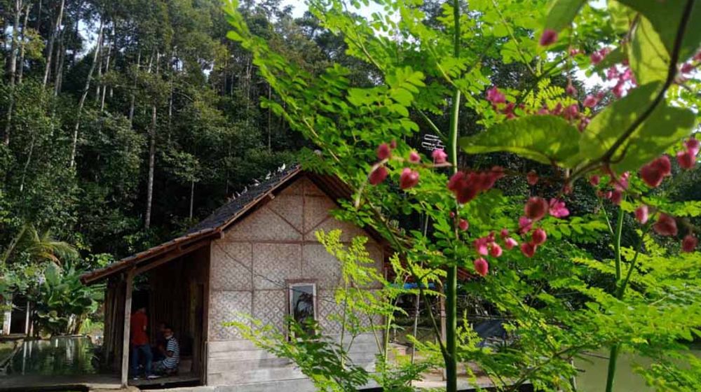 Suhita Bee Farm, turut menjaga ekosistem lebah dengan tanpa menggunakan pestisida. Lingkungan sekitar semakin asri.
