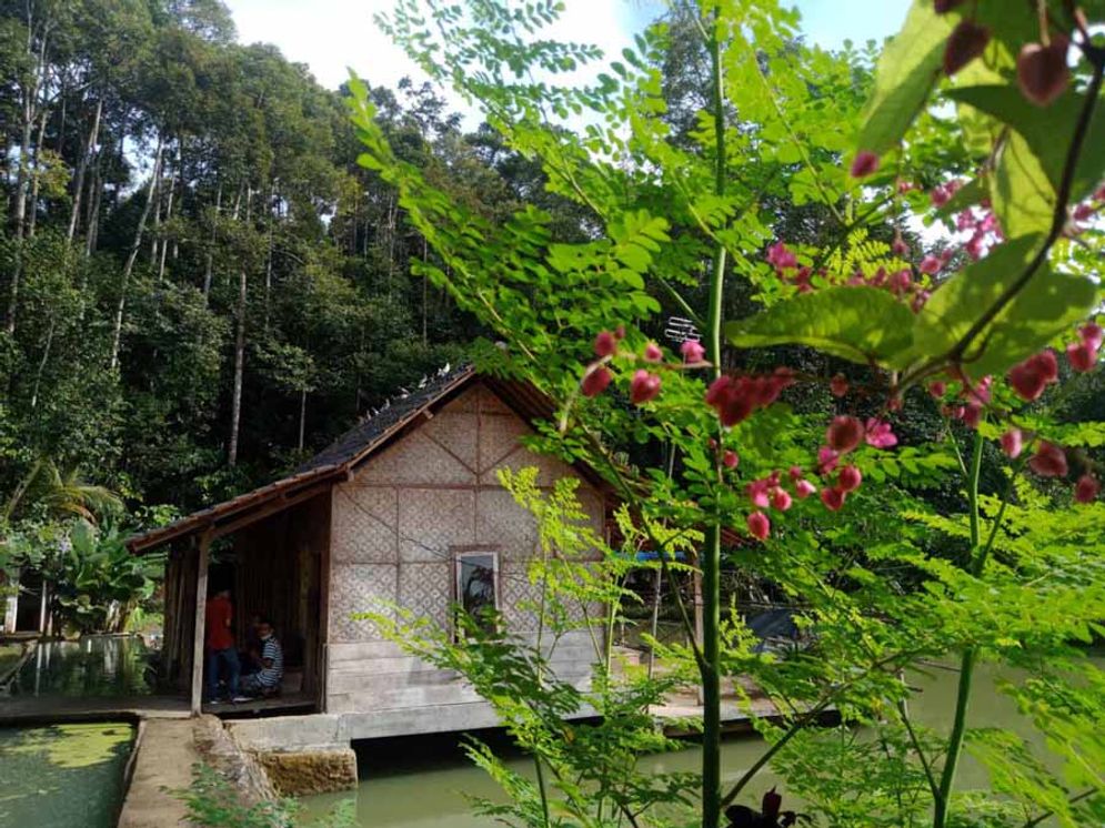 Suhita Bee Farm, turut menjaga ekosistem lebah dengan tanpa menggunakan pestisida. Lingkungan sekitar semakin asri.