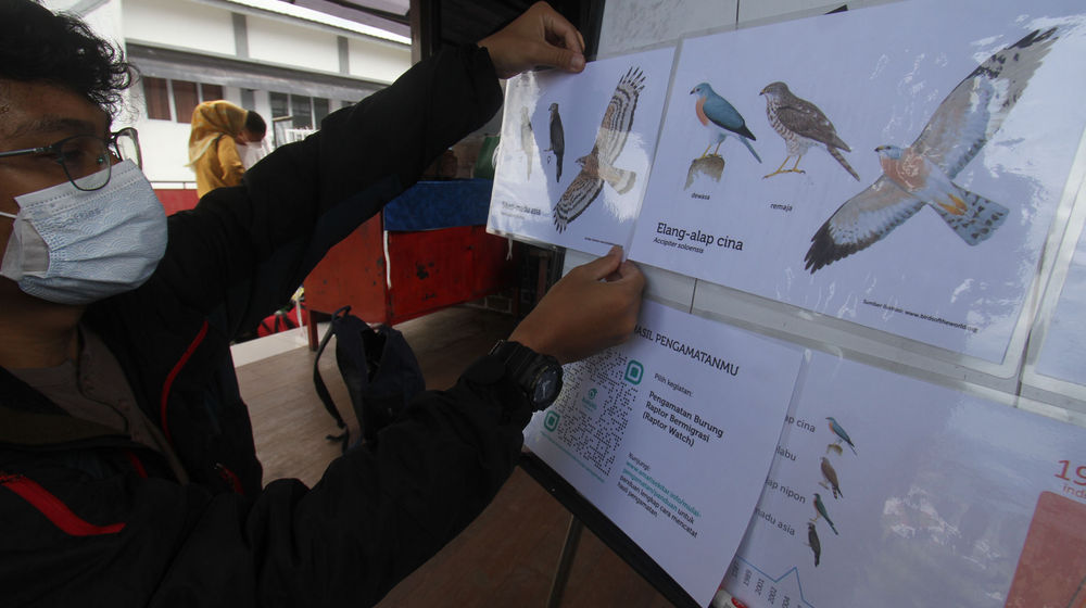 Pengamatan Migrasi Burung - Panji 7.jpg