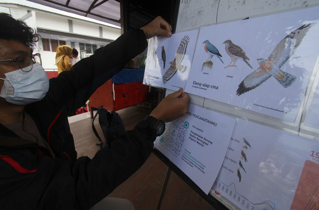 Nampak volunteer dari Biodiversity Warriors Yayasan KEHATI dan Burung Indonesia tengah melakukan pengamatan migrasi beberapa jenis burung raptor yang melintas di kawasan Puncak,Bogor Jawa Barat, Minggu 31 Oktober 2021. Foto : Panji Asmoro/TrenAsia