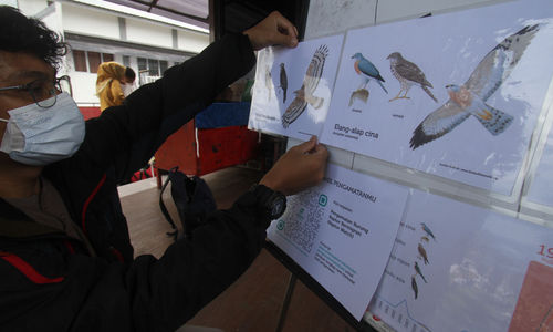 Pengamatan Migrasi Burung - Panji 7.jpg