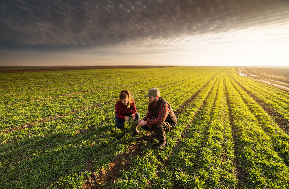<p>Menjadi petani muda sukses &#8211; Foto oleh Pinterest</p>
