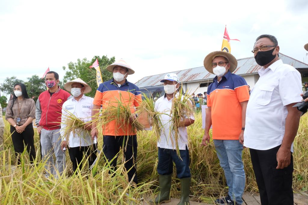 <p>Foto oleh Pupuk Kaltim</p>
