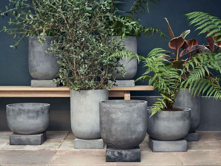 <p>Cara Mengganti Pot Tanaman Rumah &#8211; Foto oleh kotodesign.co.uk</p>
