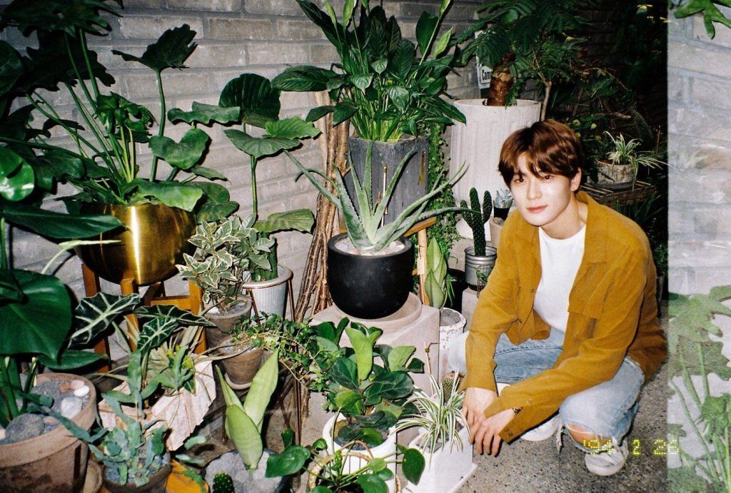 <p>This K-Pop Idol Grows Mint Leaves at Home</p>
