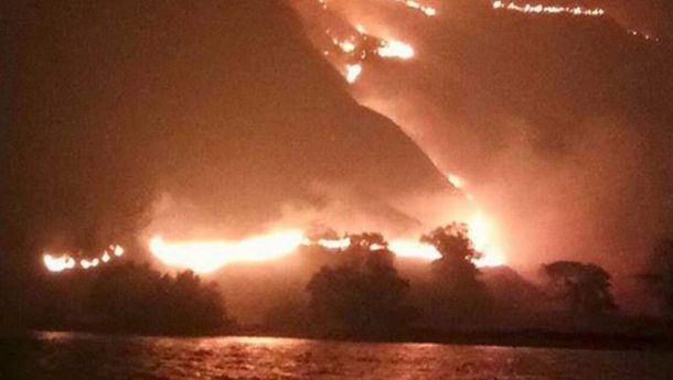 Kebakaran Melanda Pulau Rinca, TN Komodo