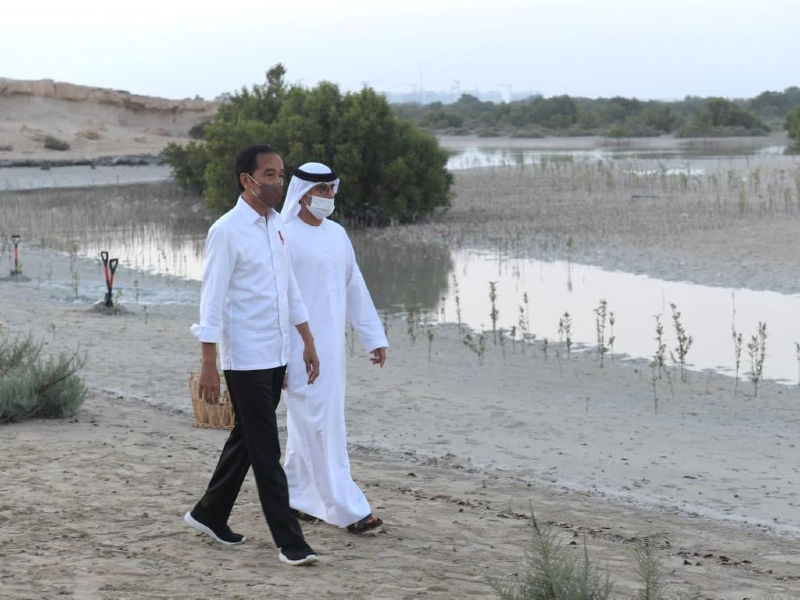 Presiden Joko Widodo ditemani Putra Mahkota Abu Dhabi, Sheikh Mohammed bin Zayed Al Nahyan (MBZ) meninjau Jubail Mangrove Park yang terletak di Pulau Al Jubail, Abu Dhabi, Persatuan Emirat Arab (PEA), pada Rabu sore, 3 November 2021. / Twitter @jokowi