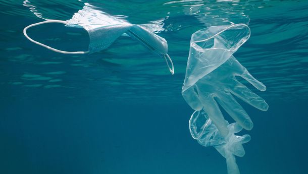 28.000 Ton Sampah Covid-19 Berakhir di Laut, Berpotensi Rusak Ekosistem Bentik 