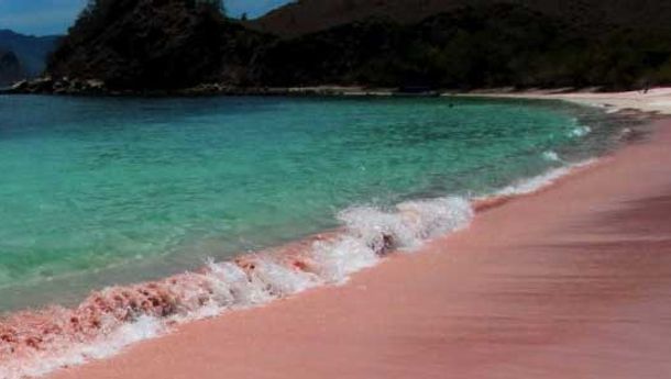 Wisatawan Asal Tangerang Tewas di Pink Beach Labuan Bajo