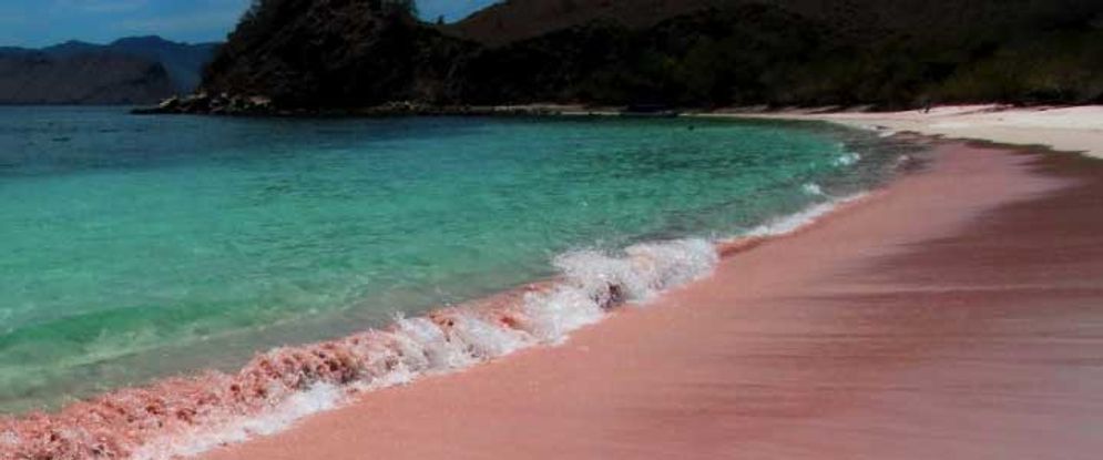 pinkbeach700.jpg