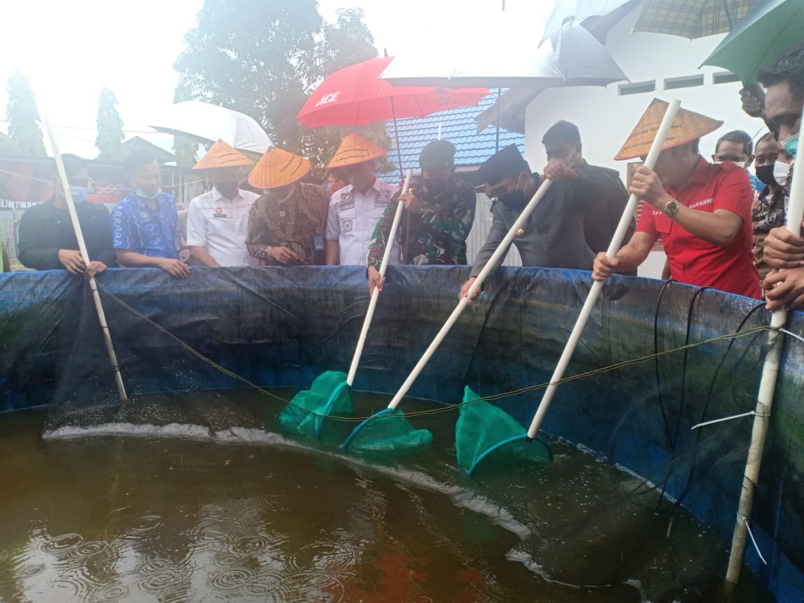 Wali Kota Balikpapan Rahmad Mas'ud dalam acara Panen Perdana Udang Vaname di Kolam Latih Budidaya Lapas Kelas IIA Balikpapan, Jumat (12/11/2021)