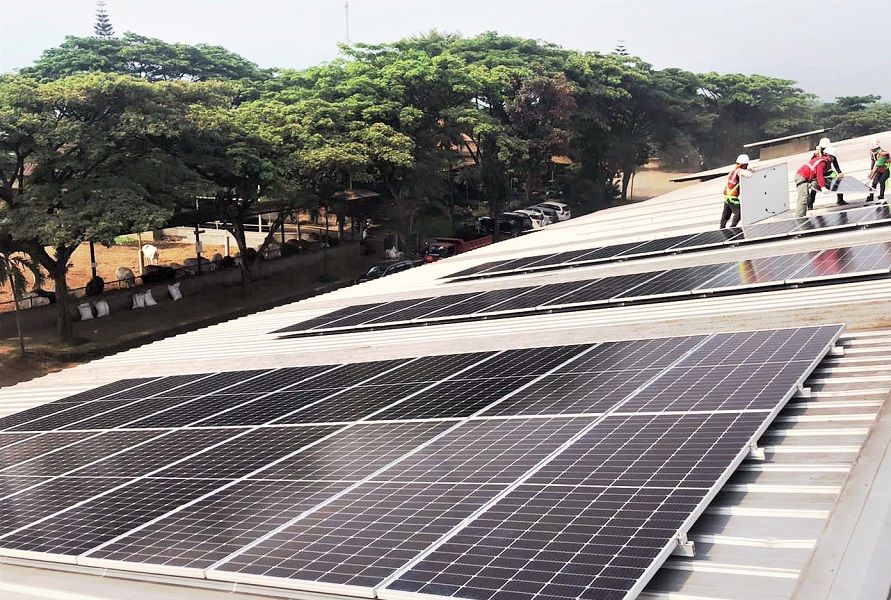 Panel surya yang dipasang di atas fasilitas peternakan ataupun pabrik milik PT Widodo Makmur Perkasa Tbk (WMPP) / Dok. Widodo Makmur