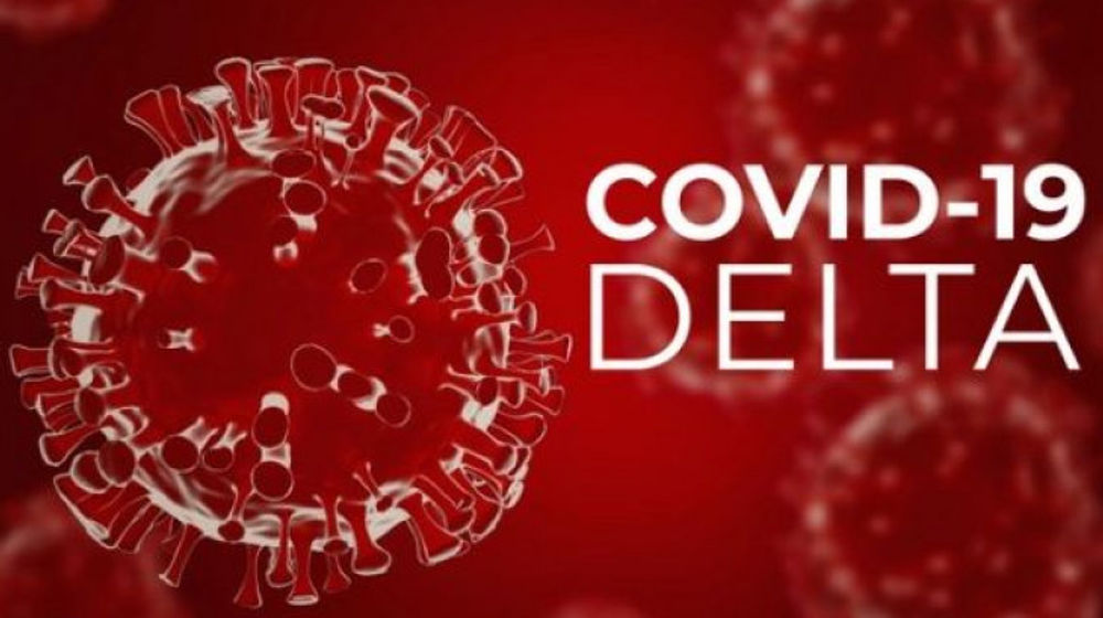 covid delta.jpg