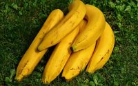 bananas-gb503a007a_640.jpg
