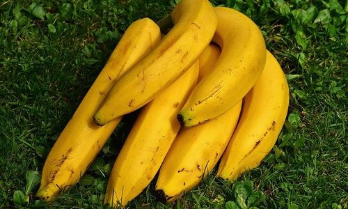 bananas-gb503a007a_640.jpg
