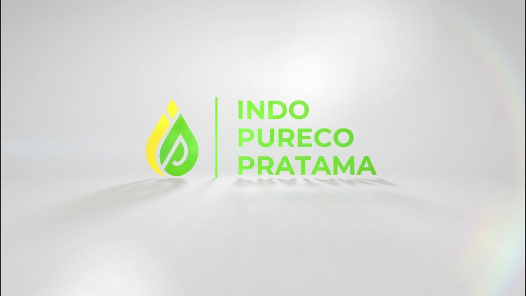 indo pureco.jpg