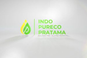 indo pureco.jpg