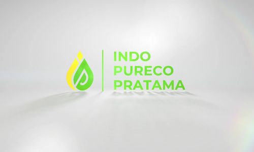 indo pureco.jpg