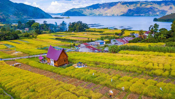 Elok Nian Panorama Desa Wisata Tipang di Sumatera Utara