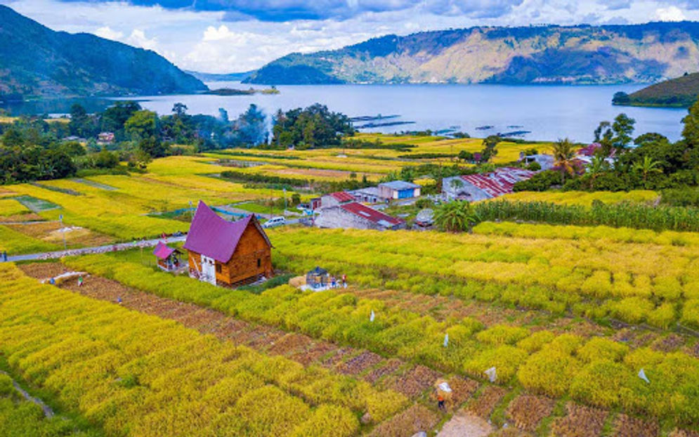 Homestay dan Panorama Desa Wisata Tipang, di Sumatera Utara.