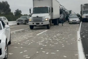 Money Fallen Out of Truck-Kubrick.png