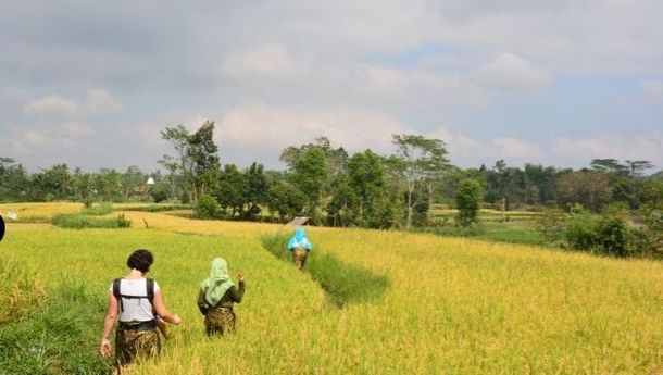 Sirkuit Mandalika dan Desa Wisata Mas Mas, Bisa Saling Menopang