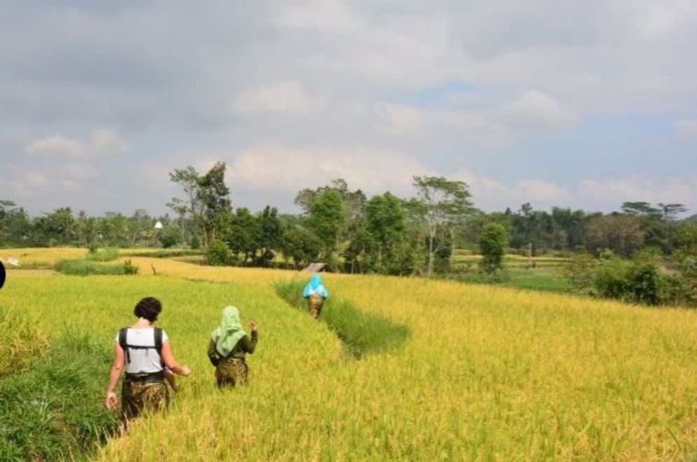 Desa Wisata Mas Mas, Lombok