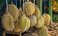 buah durian new.jpg